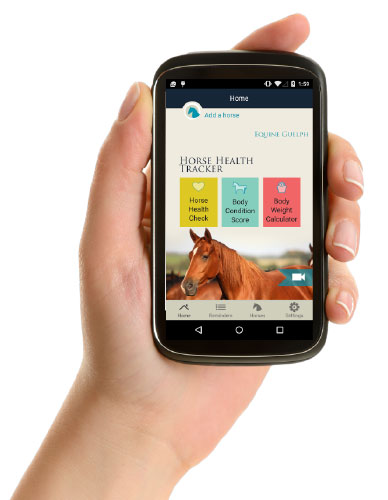 Horse Health Tracker