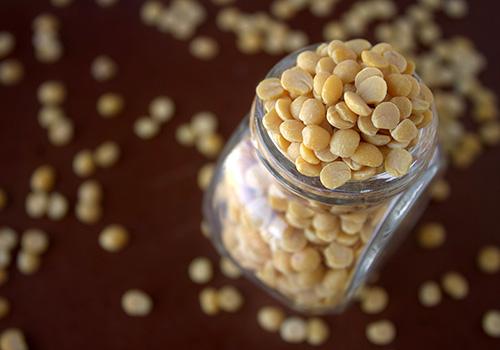Lentil research at the University of Guelph.