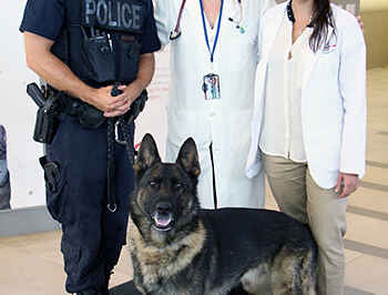 Special Preventive Care Keeps Guelph Canine Unit in Peak Condition