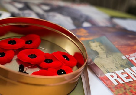 Poppies at sitting for artist Greg Denton.