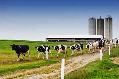 Using High-Tech Sensors to Boost Farm Efficiency