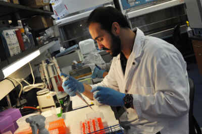 Lab Aims to Make Chickens Healthier to Improve Food Safety