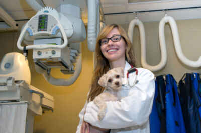 Prof Uses Titanium Mesh to Protect Young Dog’s Brain