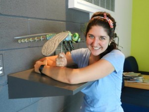 Grad Student’s Monarch Research Gets NSERC’s Attention,  Picked for Science Video Contest