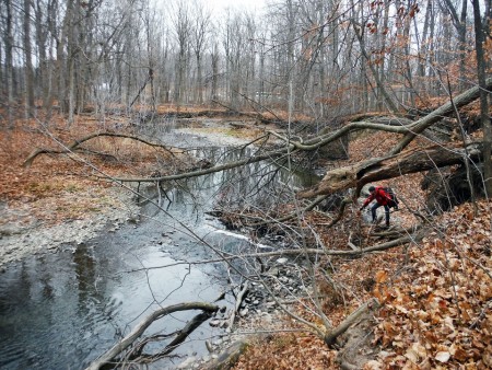 Guelph professor studies stream restoration.
