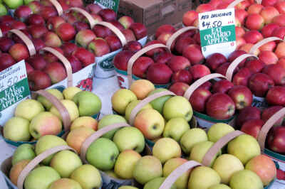 Prof Studies Storage Conditions to Help Prevent Food Waste