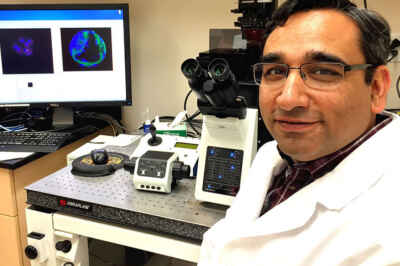 How Researching Embryo Health in Cows Can Help Human Infertility