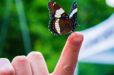 U of G Part of Giant ‘BioBlitz’