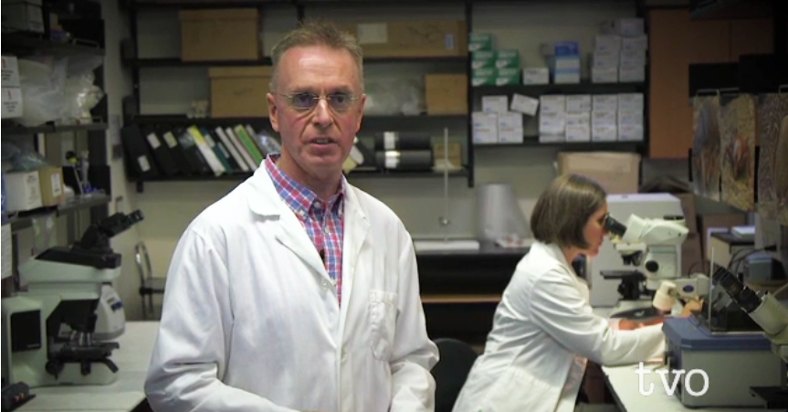 Ovc Prof Talks Ticks On Tvo U Of G News 4902