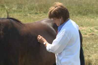 Horse Asthma Research Featured in CTV News Story