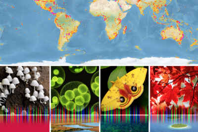 World’s Oldest Scientific Journal Dedicates Issue to DNA Barcoding