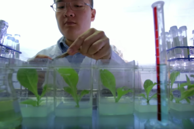 U of G Receives Nearly $77 Million to Launch ‘Food From Thought’