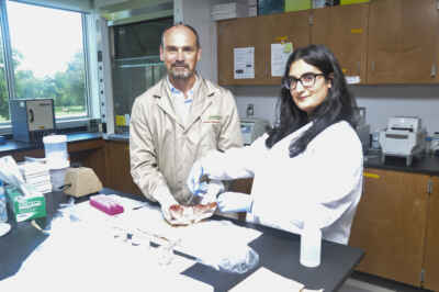 U of G Researchers to Develop eDNA Tool for Aquatic Tracking