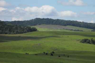 Prof Develops Model to Mesh Farming, Ecosystems