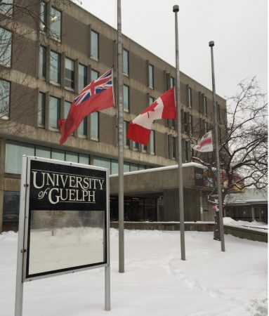 A photo of the University Centre exterior with flags at half mast