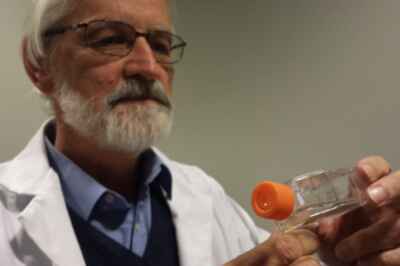 U of G Prof Gets Genome Canada Funding to Battle Invasive Insects