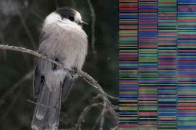 U of G Showcasing 150 Innovations to Celebrate Canada’s 150th