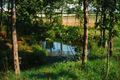 Greenhouse Gas Research Gets $2.2 Million in Federal Support