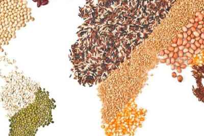 U of G Part of International Commission on Food Security, New Report