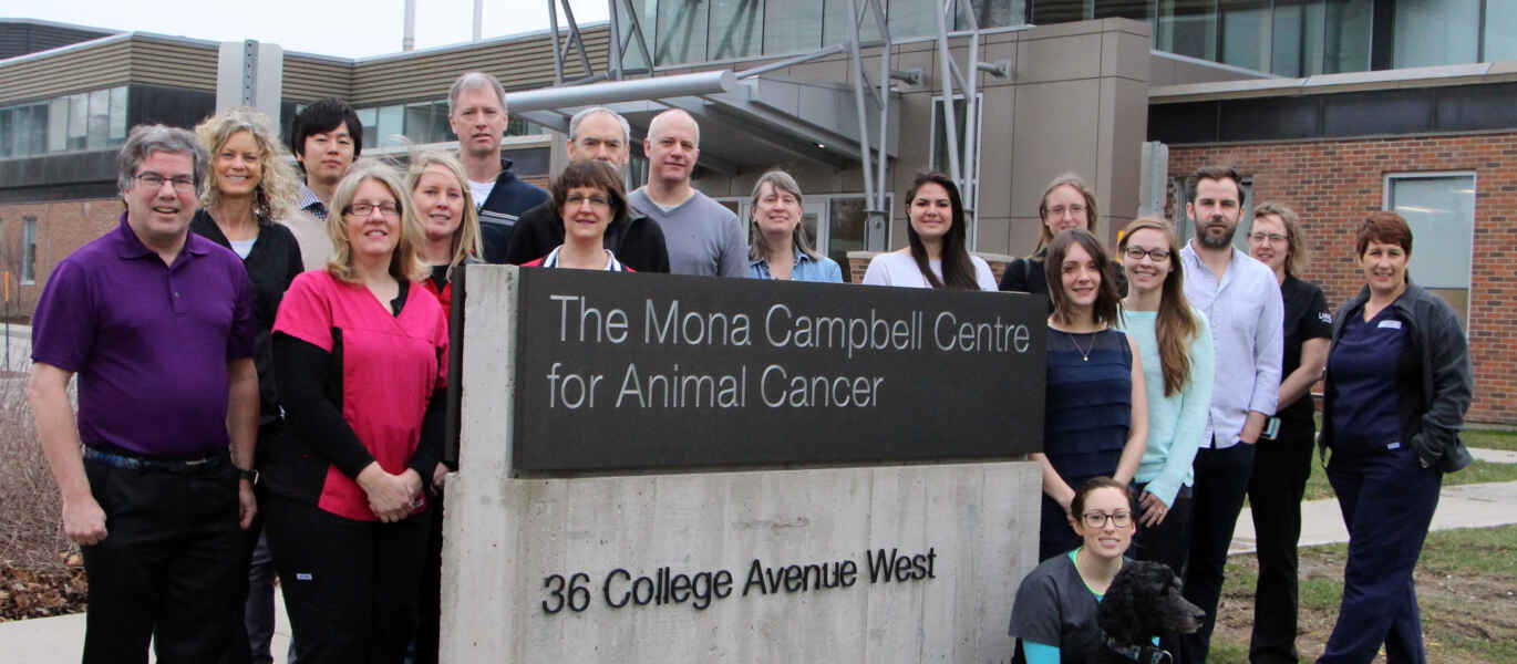 Animal Cancer Centre, OVC Prof Win Veterinary Awards U of G News