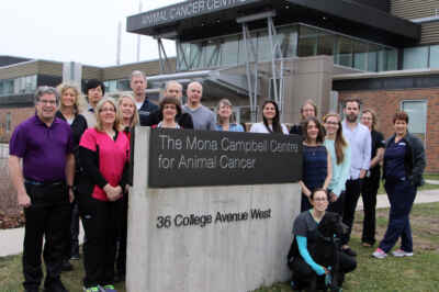 Animal Cancer Centre, OVC Prof Win Veterinary Awards