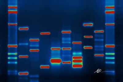 Why Insurers Are Wrong About Canada’s Genetic Non-Discrimination Law