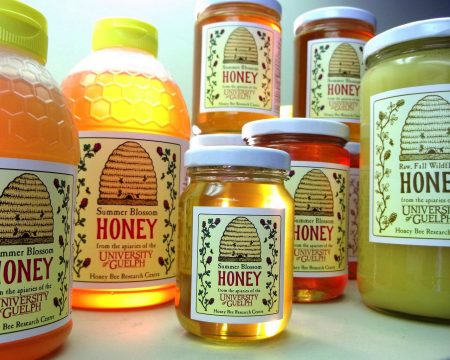 University of Guelph honey