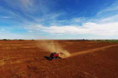 Canada Should Adopt Blockchain Technology to Meet  Agri-Food Goals