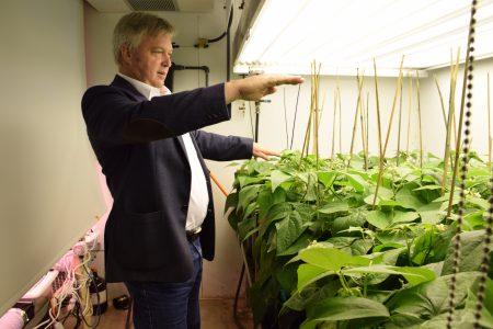 Prof. Mike Dixon in green house