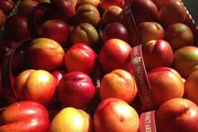 U of G Develops Natural Formula to Prolong Shelf Life of Produce