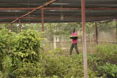 Science, Politics and the Quest to Secure Africa’s Sustainable Food Future