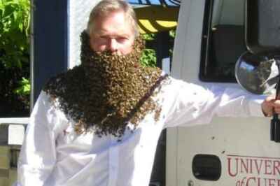 Toronto Star Talks to U of G Apiarist