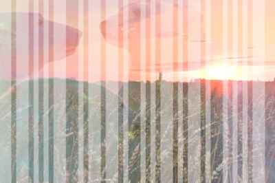 U of G’s Genetic Archive Now Open to World