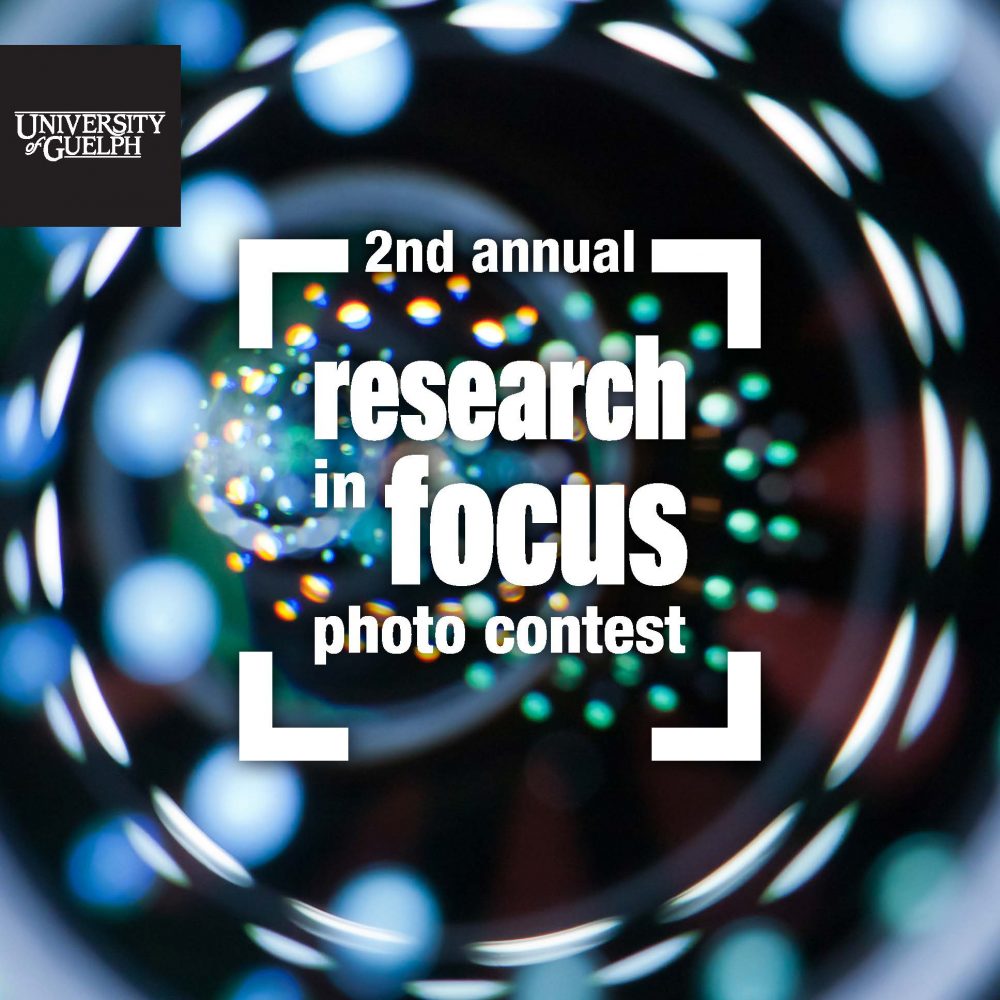 Research in Focus contest logo