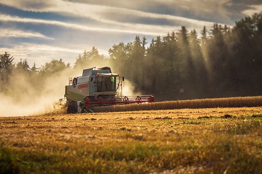 photo of combine in a field of wheat