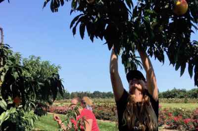 For Younger-Looking, Fresher-Tasting Fruit, Use Hexanal