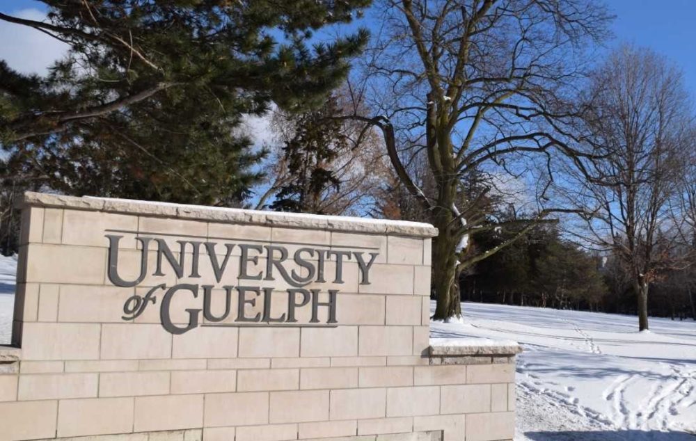 University of Guelph Campus in Winter