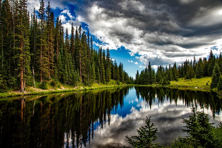 photo of a lake surround by evergreen trees