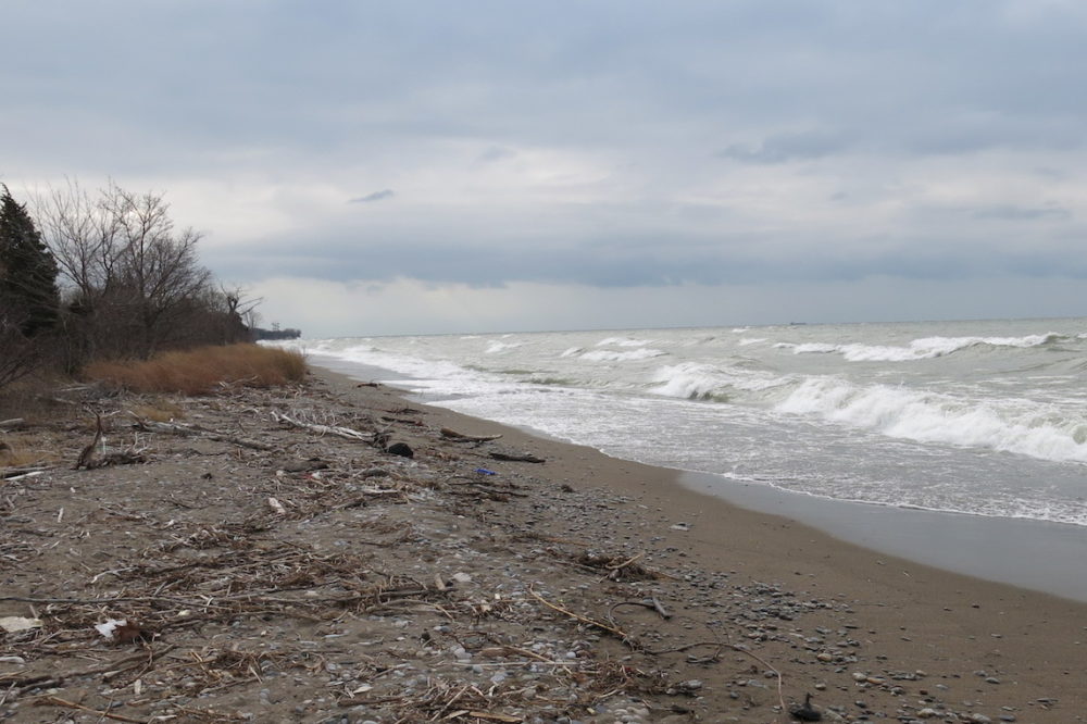 a photo of a Lake Erie beach at Point Pelee