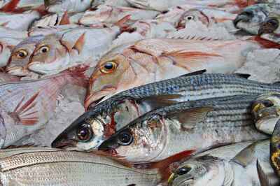 U of G’s Unique DNA Barcoding Technology Makes Headlines