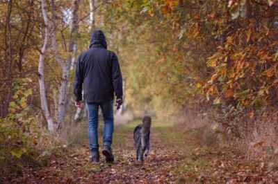 Potentially Deadly Tapeworm More Widespread in Ontario Than Thought, U of G Research Finds