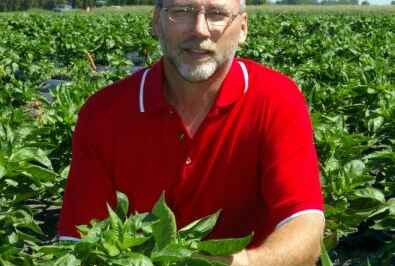 CBC Spotlights U of G Successful Rice Crop