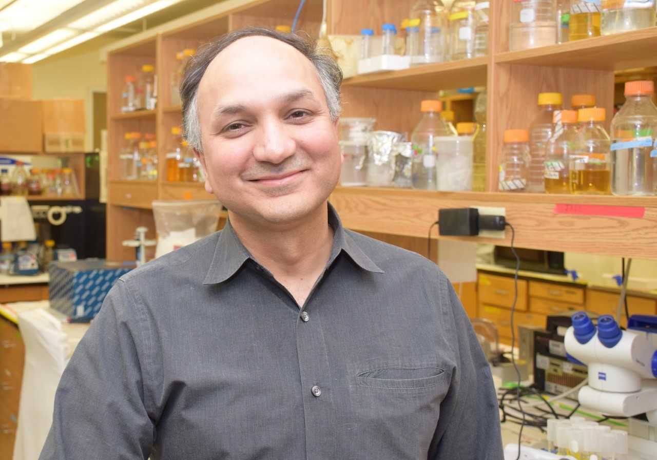 U of G Researcher Developing Plants That Can Produce Their Own Nitrogen ...