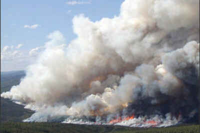 Frequent, Extreme Wildfires Threaten to Turn Boreal Forests from Carbon Sinks to Carbon Sources, Study Reveals
