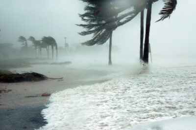 Myths about disaster survivors stall the global response to climate change