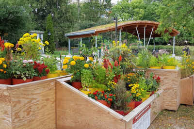 PlazaPOPS Installation Adds a Pop of Colour to Reynolds Walk