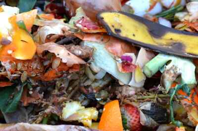 Households Lose Up to $1,600 a Year in Food Waste, U of G Study Reveals