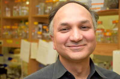 World Food Day: U of G Research Focused on Sustainable Crops