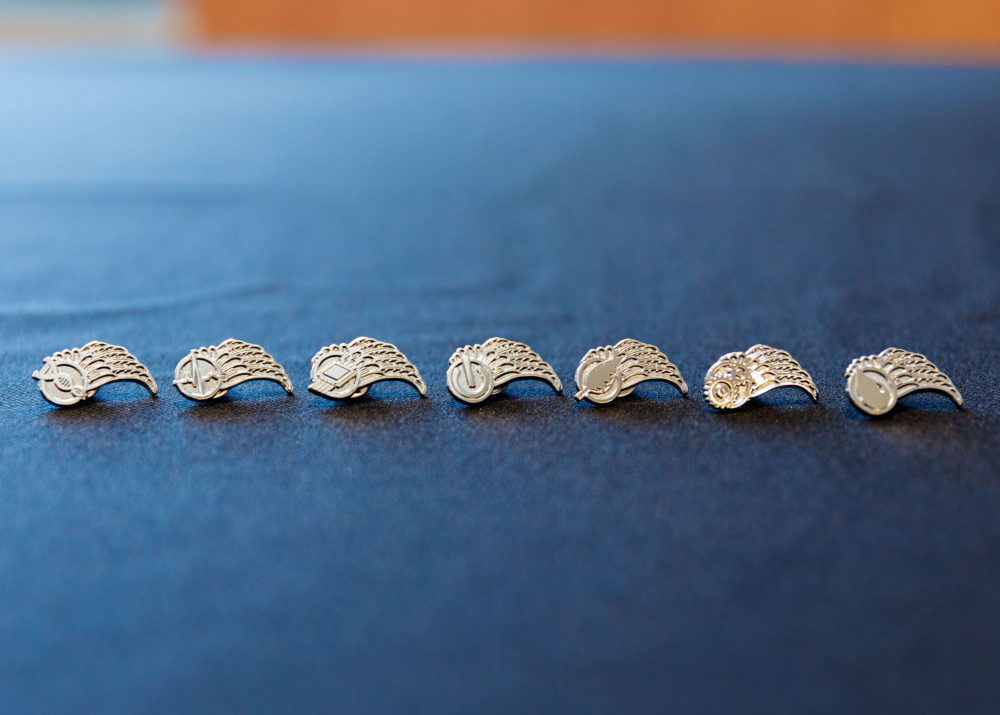 Row of pins in the shape of wings