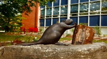 Moving our Language Forward: U of G Adopts “Indigenous Peoples” as Preferred Term